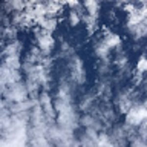 Meet your Posher, Yamil